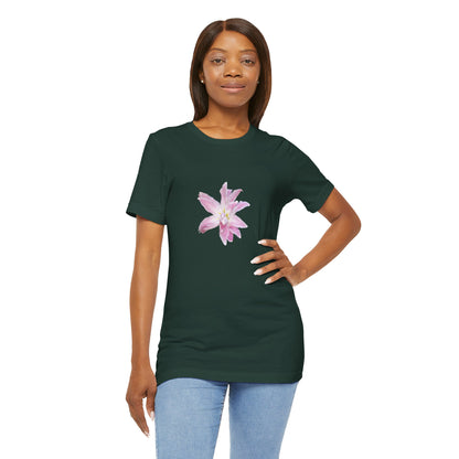 Pale pink Lilly