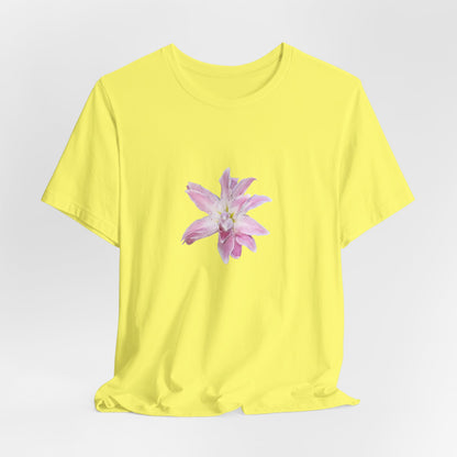 Pale pink Lilly
