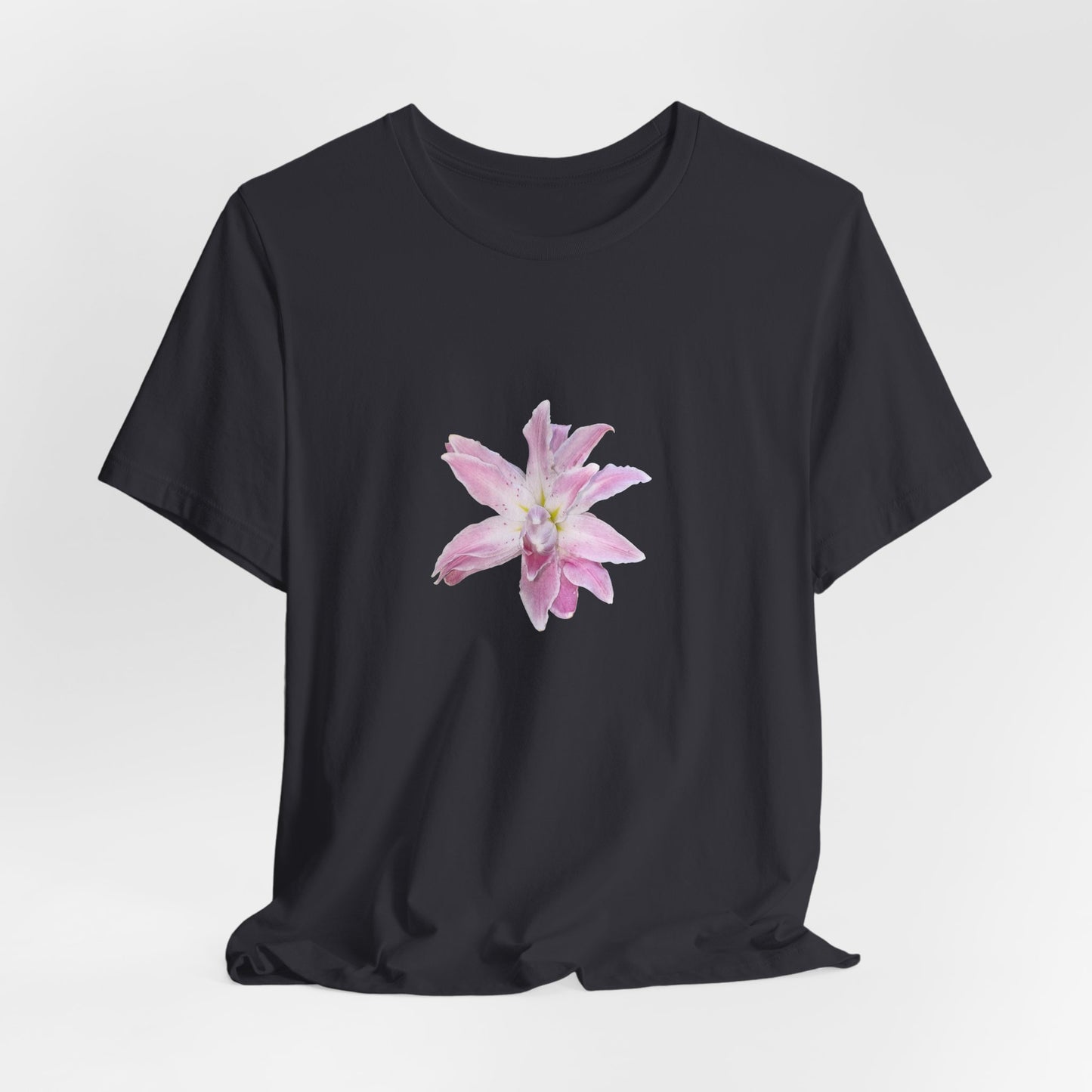 Pale pink Lilly