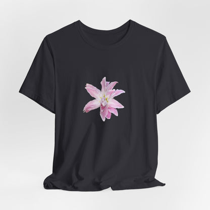 Pale pink Lilly