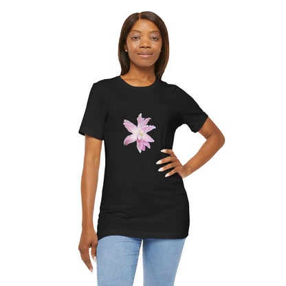 Pale pink Lilly
